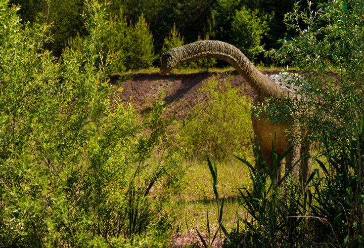 В Кировском районе откроют первый в России палеонтологический парк